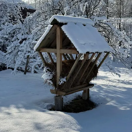 Tatil Evi трембіта - сріблясті водоспади