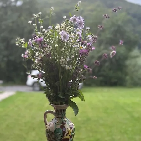 трембіта - сріблясті водоспади Tatil Evi *